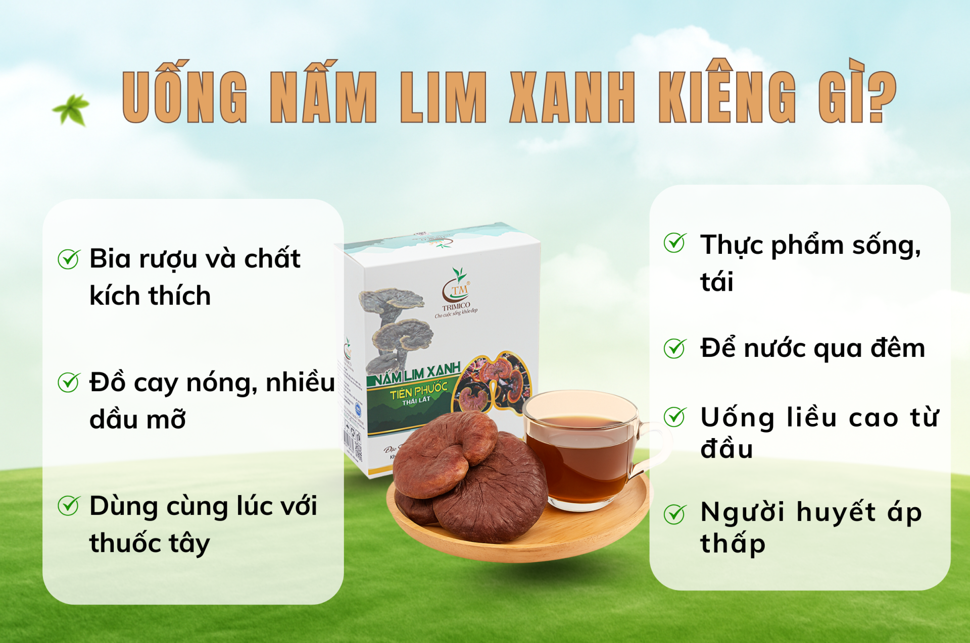 Uống nấm Lim Xanh kiêng gì? nấm lim xanh trimico